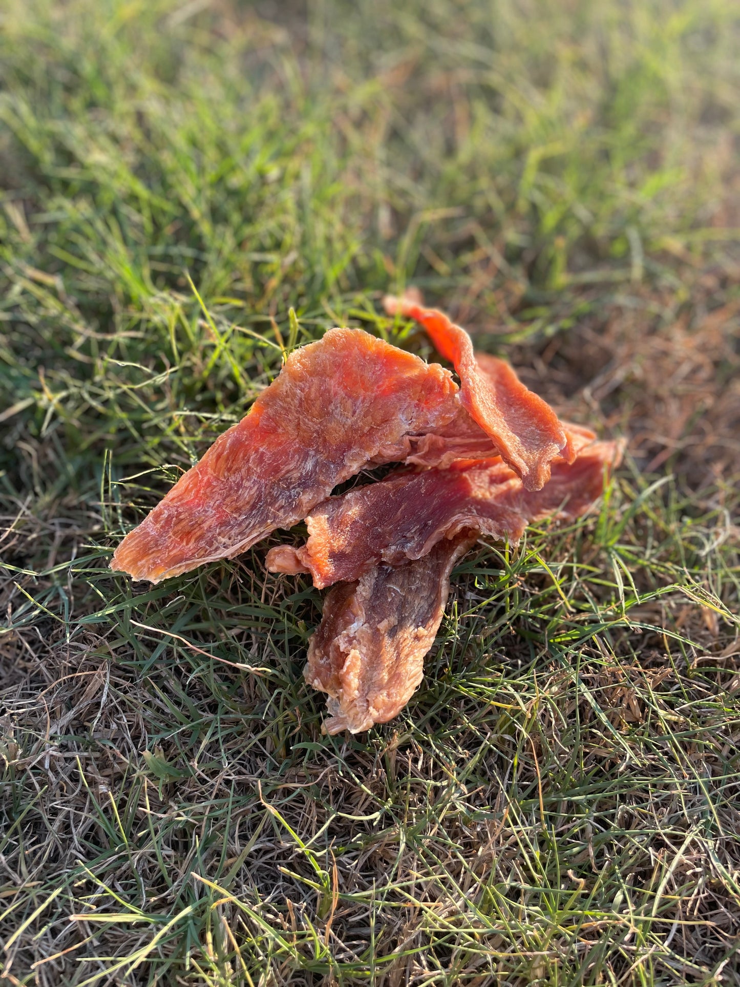 Chicken Jerky