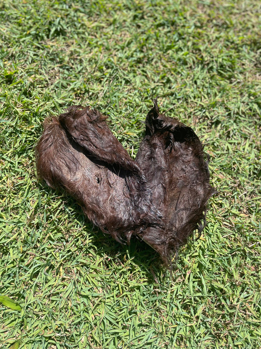 Furry Beef Ear