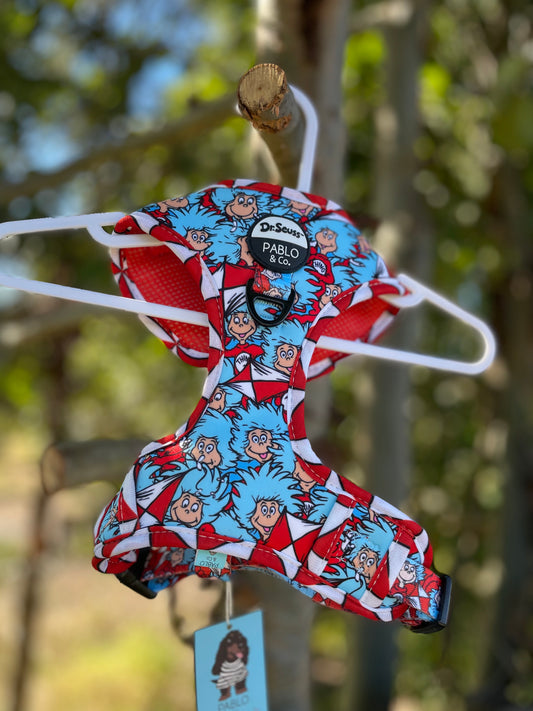Thing 1&2 Harness
