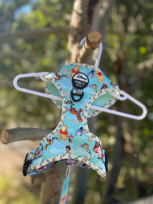 PoohBear & Friends Harness