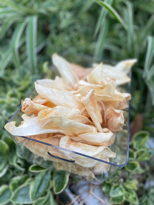 Lamb Ears 4pack