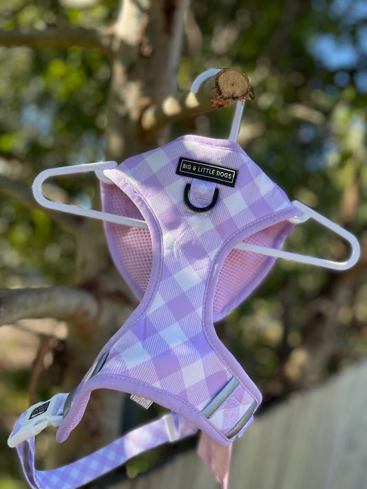 Purple Plaid