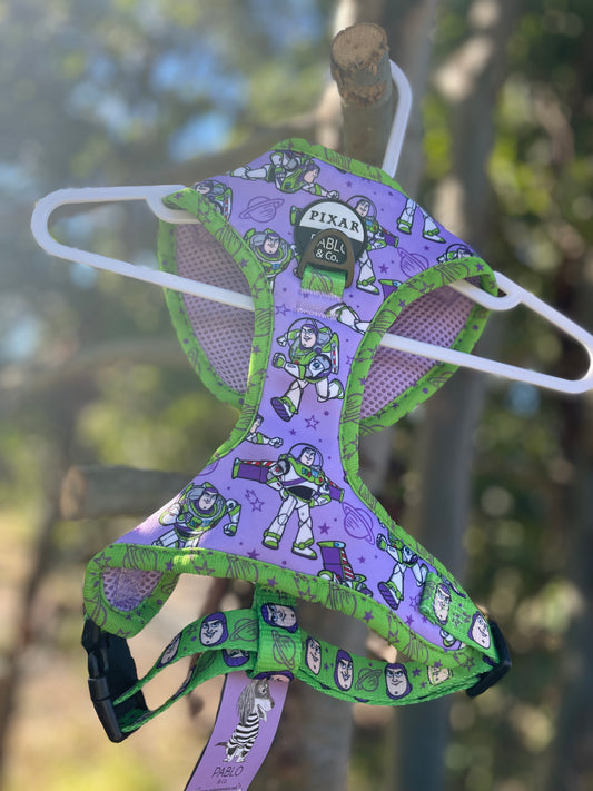 Buzz Harness