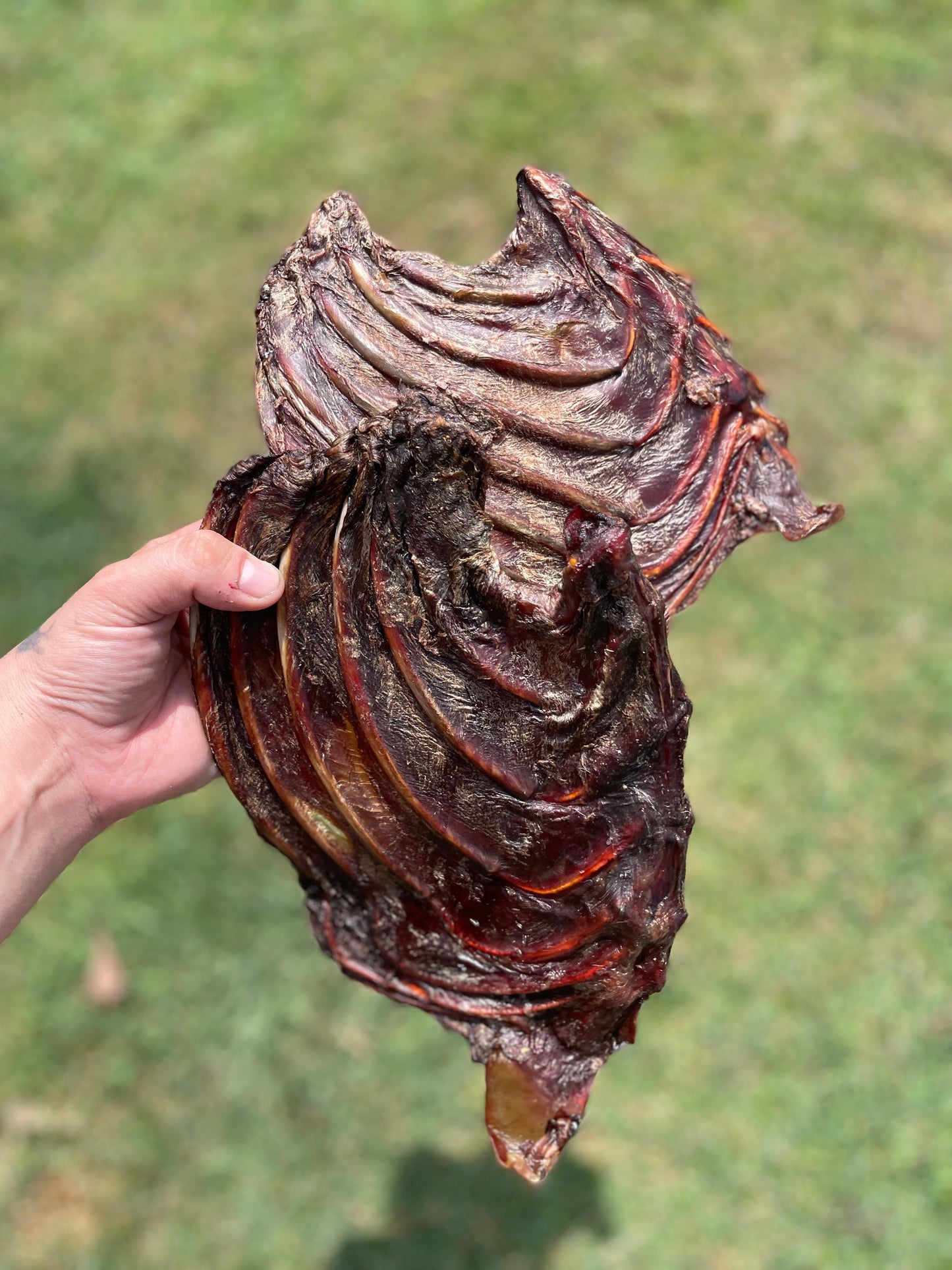 Kangaroo Rib Racks