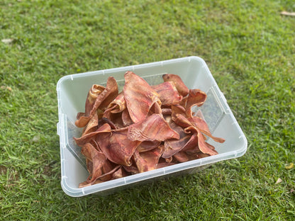 Large Pig Ears